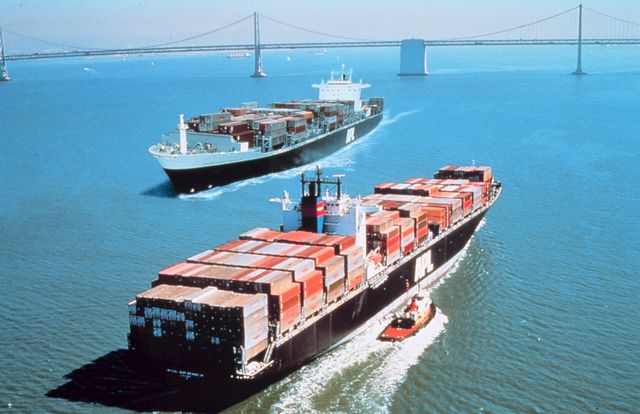le transport maritime vecteur des organismes nuisibles