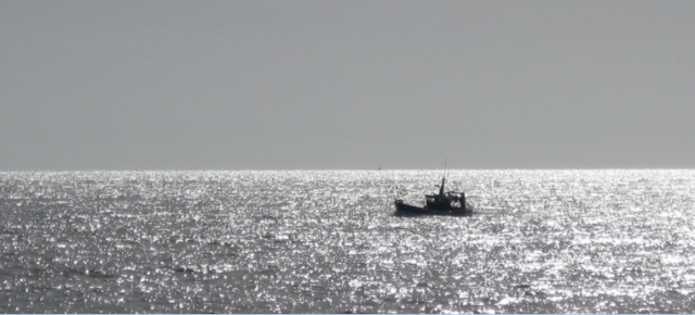 Vers une modélisation de l'élévation du niveau de la mer